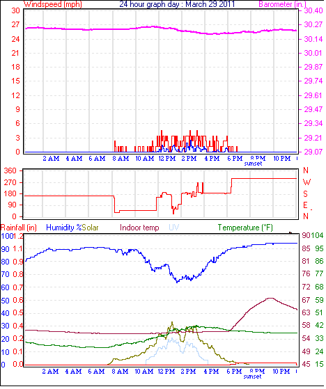 24 Hour Graph for Day 29